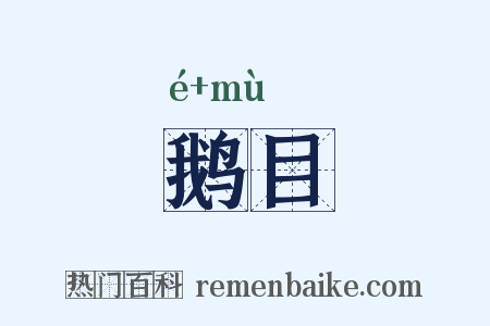 鹅目是什么意思的图片